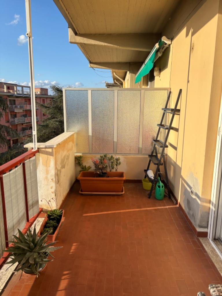 immagine annuncio 4 di 7