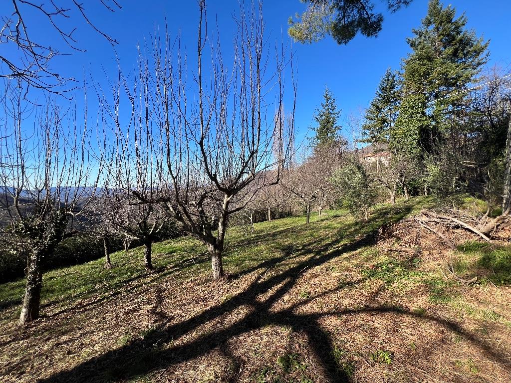 immagine annuncio 6 di 7