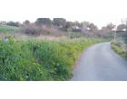 Foto - Terreno Agricolo/Coltura in Vendita a Civitavecchia (Roma)