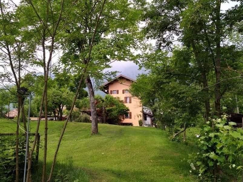 immagine annuncio 2 di 4