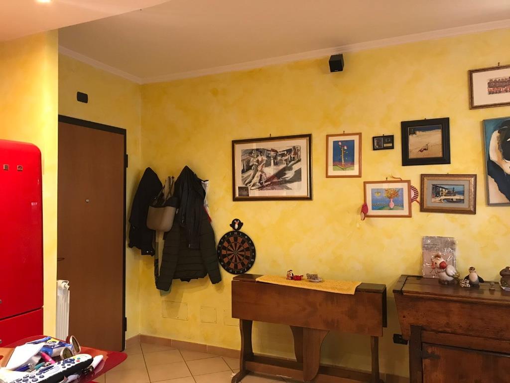 immagine annuncio 1 di 7