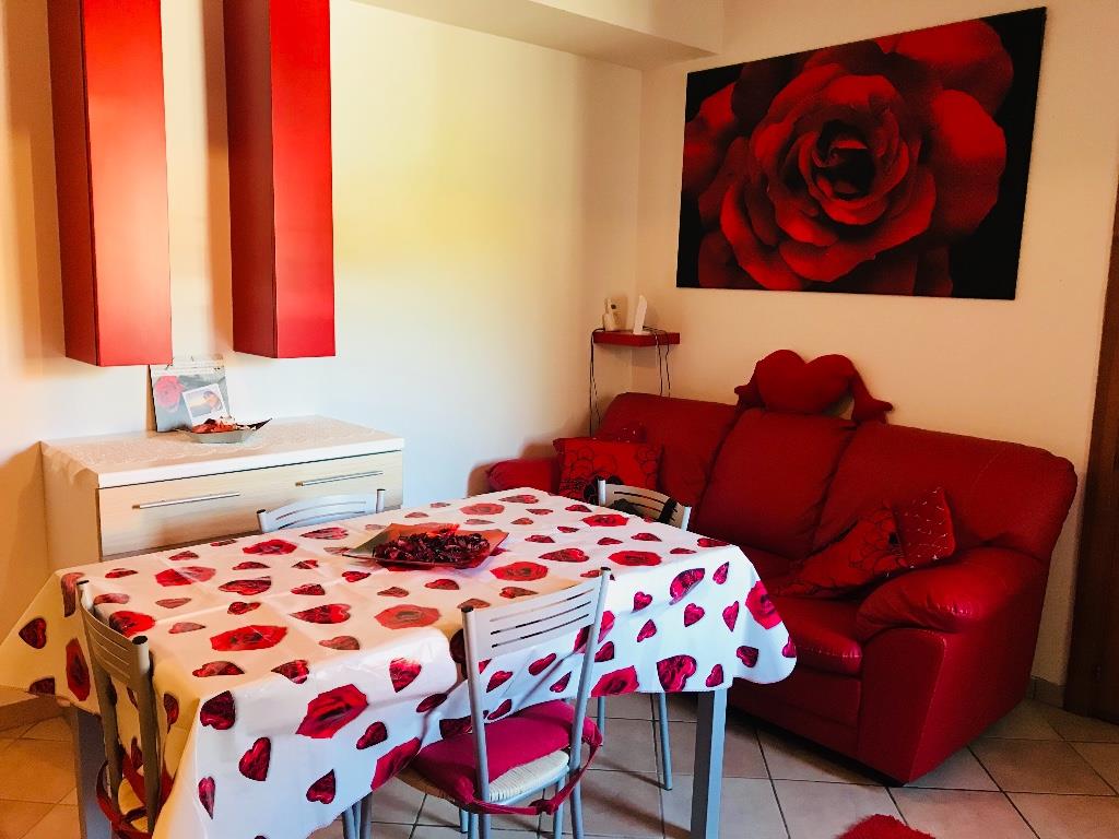 immagine annuncio 1 di 7