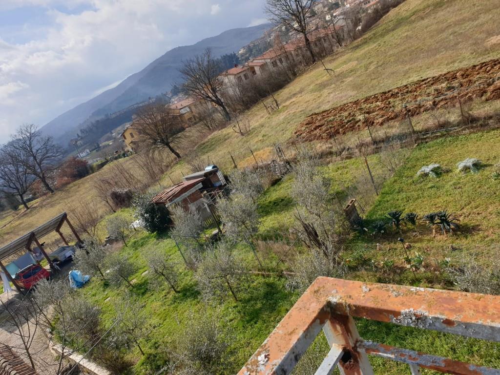 immagine annuncio 2 di 7