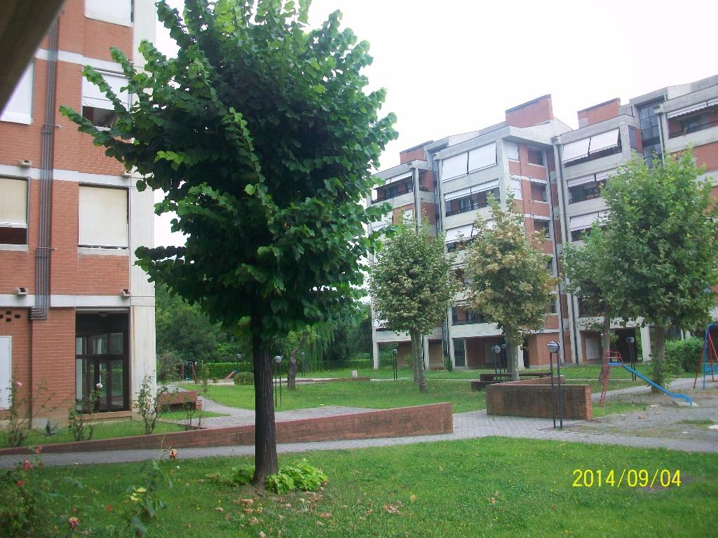 immagine annuncio 5 di 7