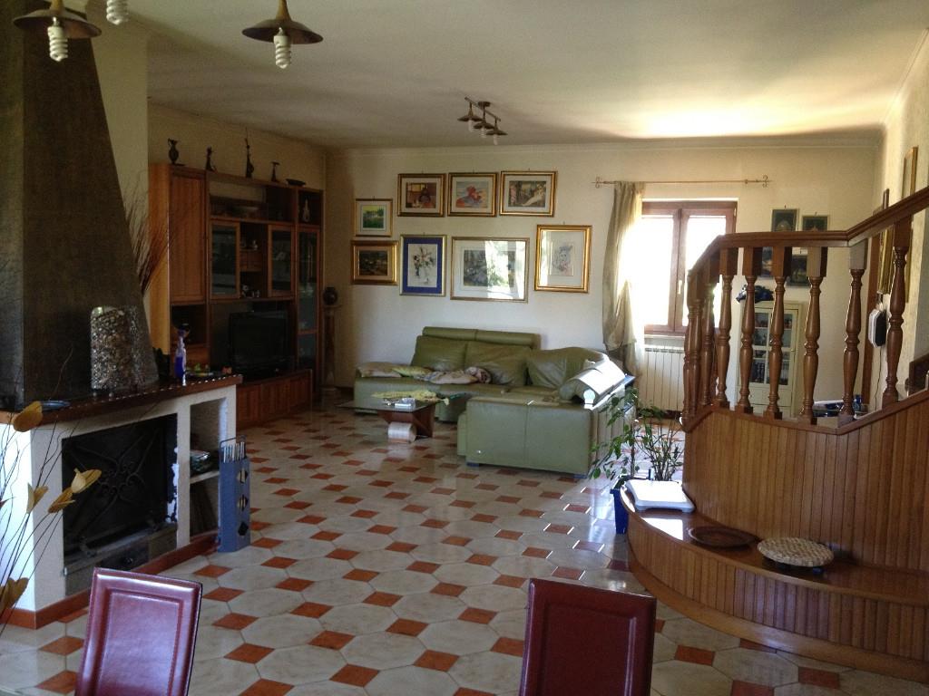 immagine annuncio 4 di 7