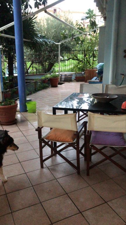 immagine annuncio 4 di 7