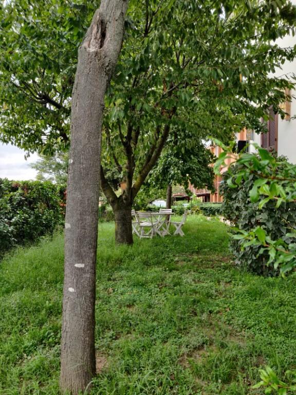 immagine annuncio 1 di 7