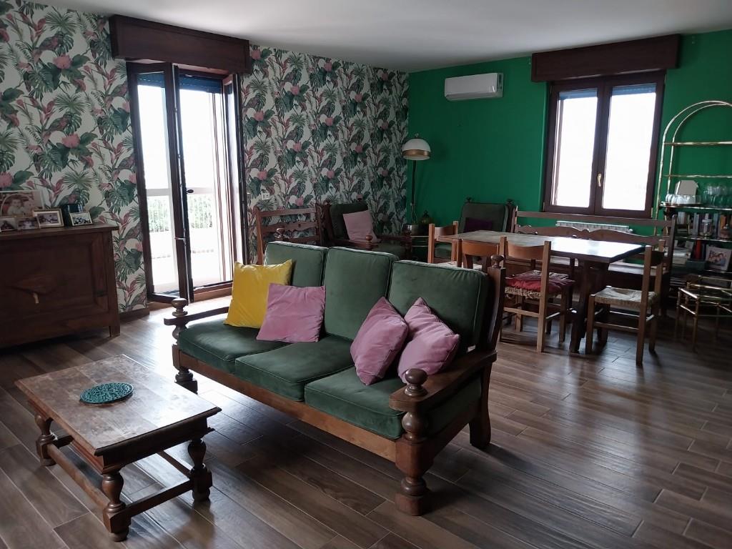 immagine annuncio 6 di 7