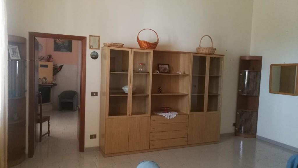 immagine annuncio 1 di 7