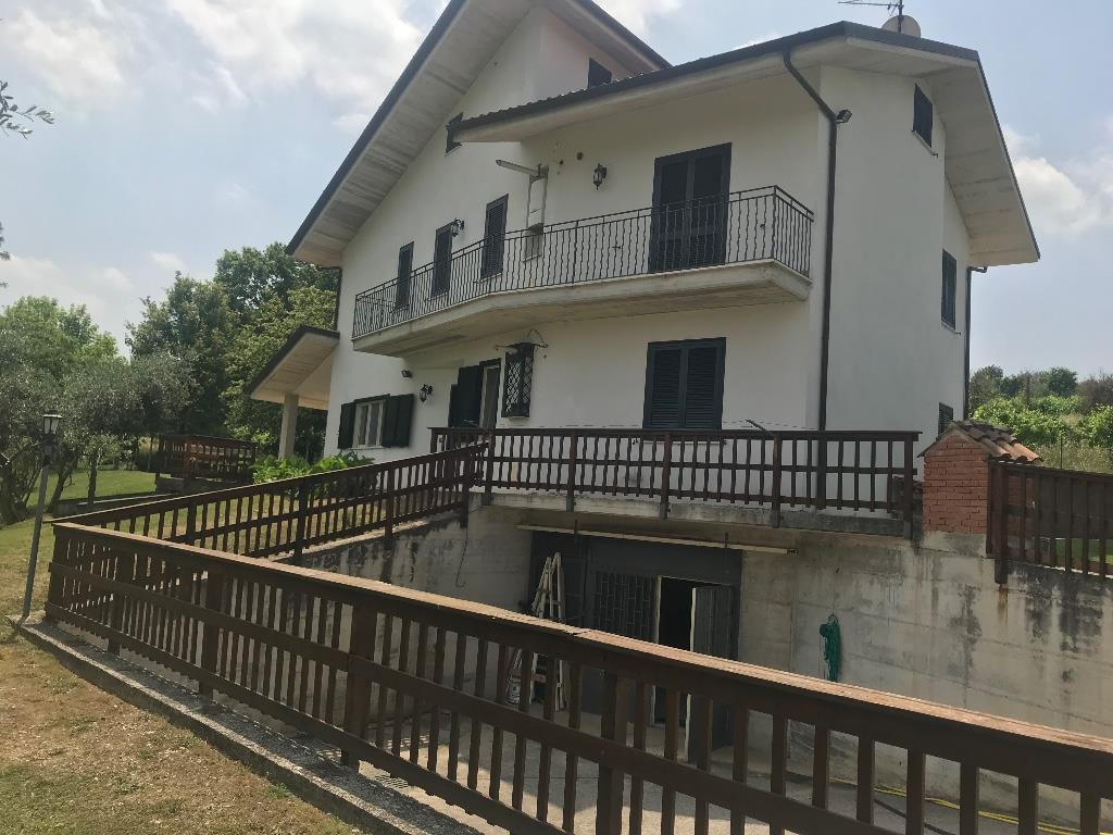 immagine annuncio 3 di 6