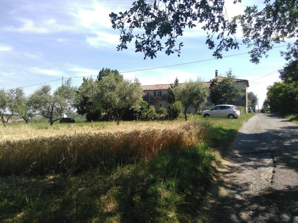 immagine annuncio 3 di 7
