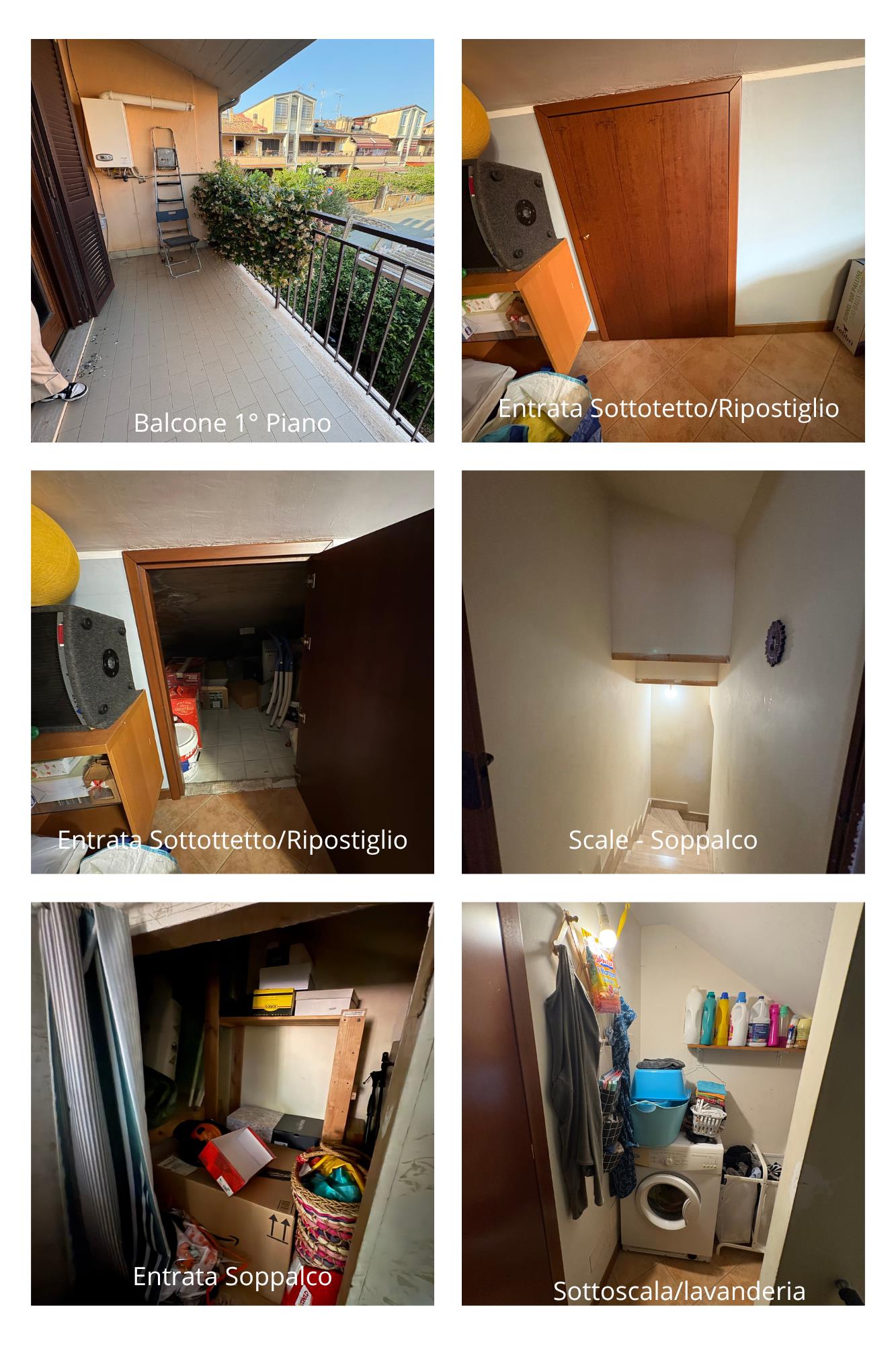 immagine annuncio 6 di 7