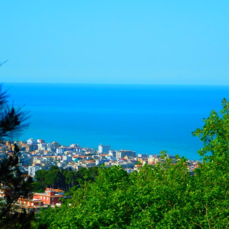 immagine annuncio 4 di 7
