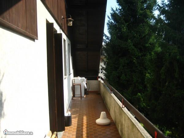 immagine annuncio 5 di 7