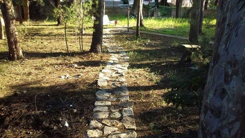 immagine annuncio 6 di 7