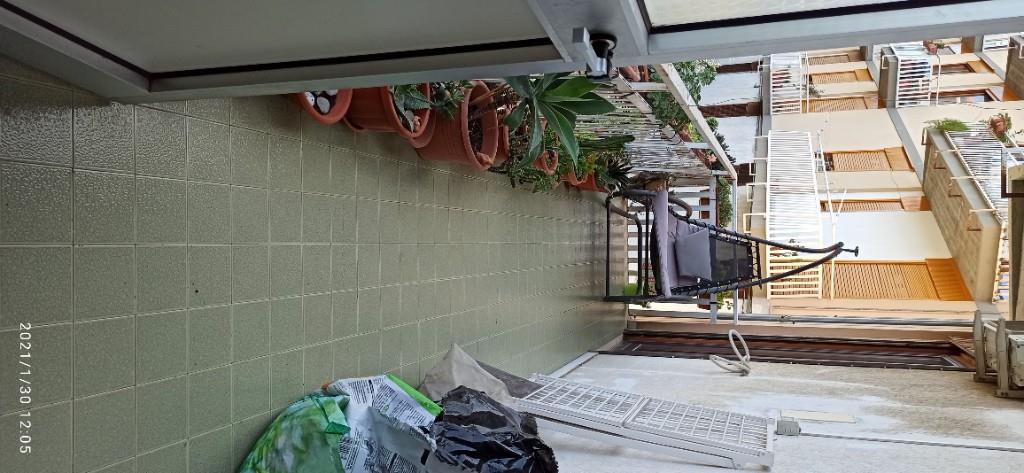 immagine annuncio 4 di 7