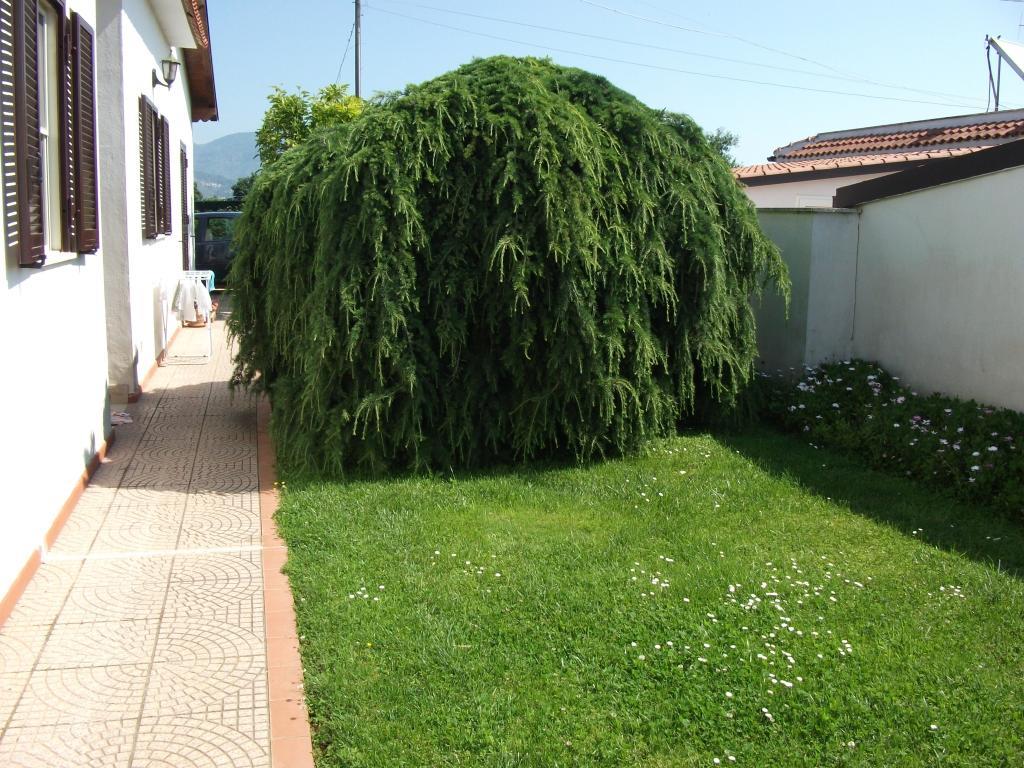 immagine annuncio 3 di 7