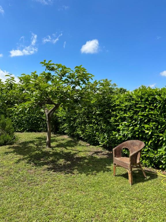 immagine annuncio 4 di 7