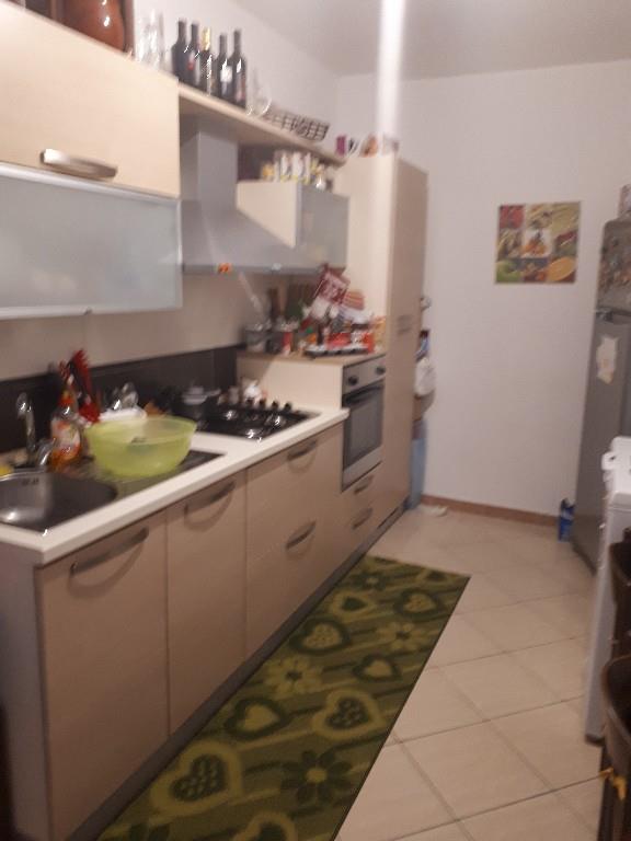immagine annuncio 1 di 7