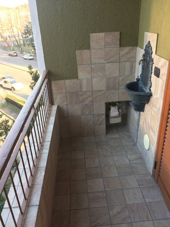 immagine annuncio 2 di 7