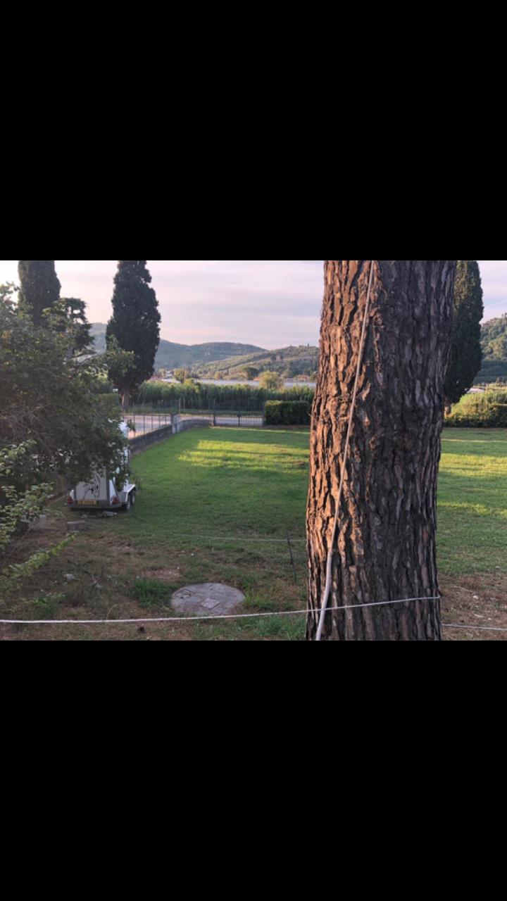 immagine annuncio 3 di 7