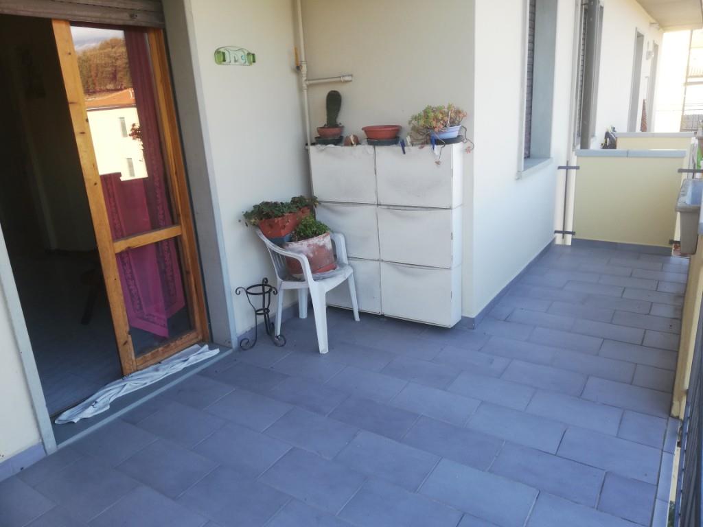immagine annuncio 6 di 7