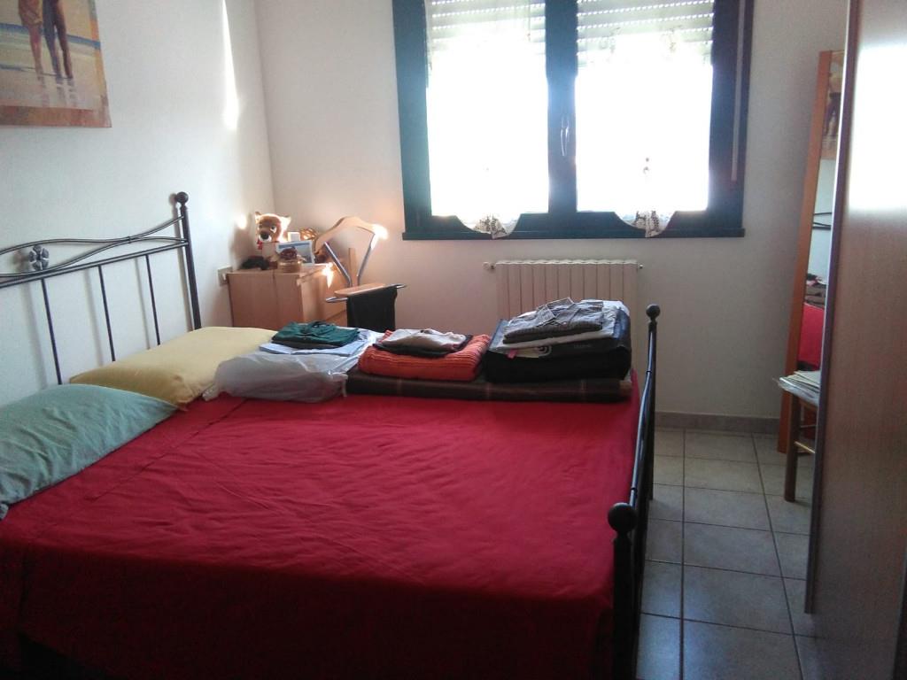 immagine annuncio 3 di 6