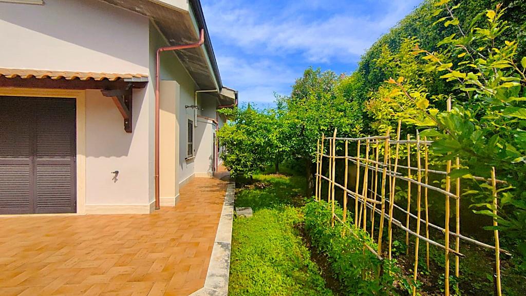 immagine annuncio 4 di 7