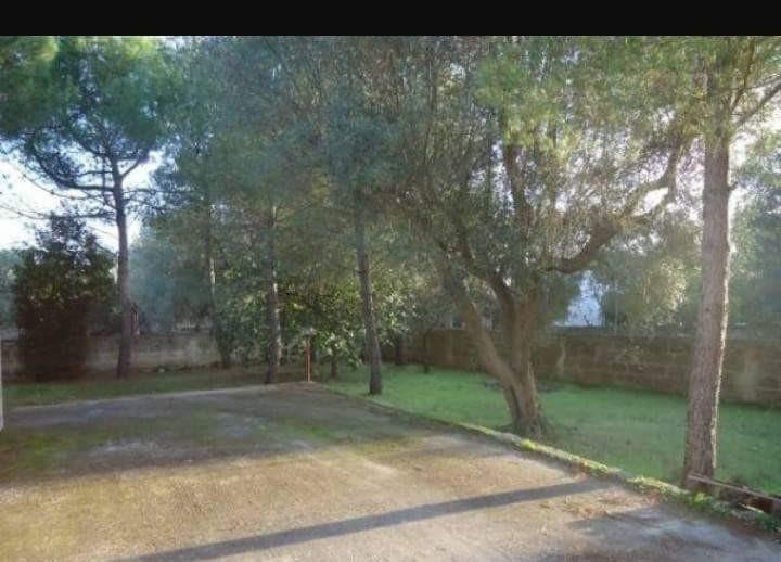 immagine annuncio 2 di 7