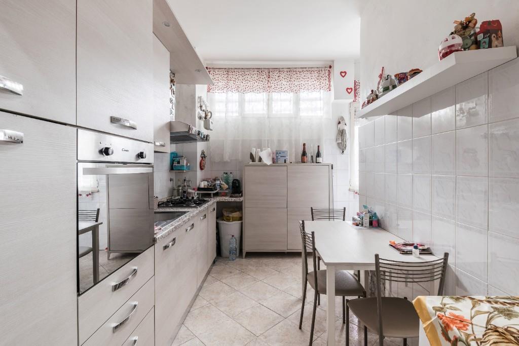 immagine annuncio 5 di 7