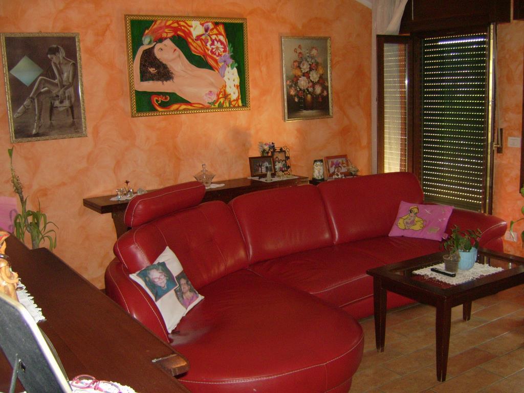 immagine annuncio 2 di 6