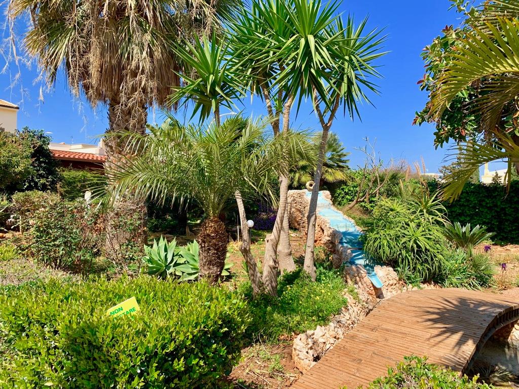 immagine annuncio 2 di 7