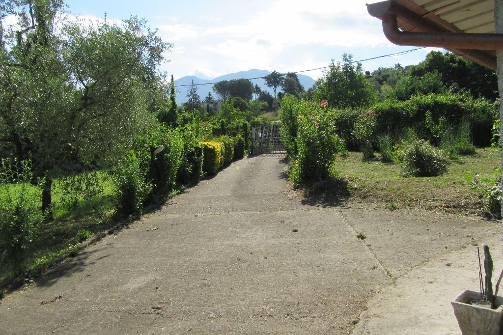 immagine annuncio 2 di 7