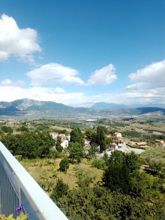 immagine annuncio 3 di 7