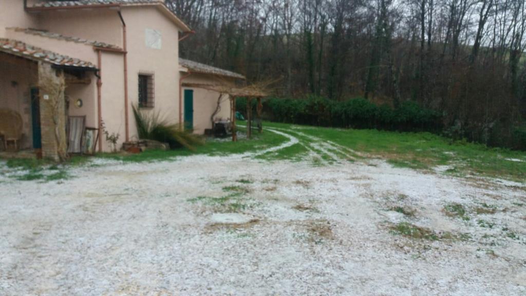 immagine annuncio 5 di 7