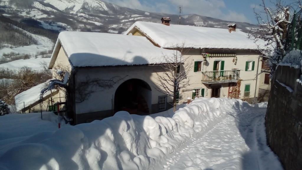 immagine annuncio 1 di 7