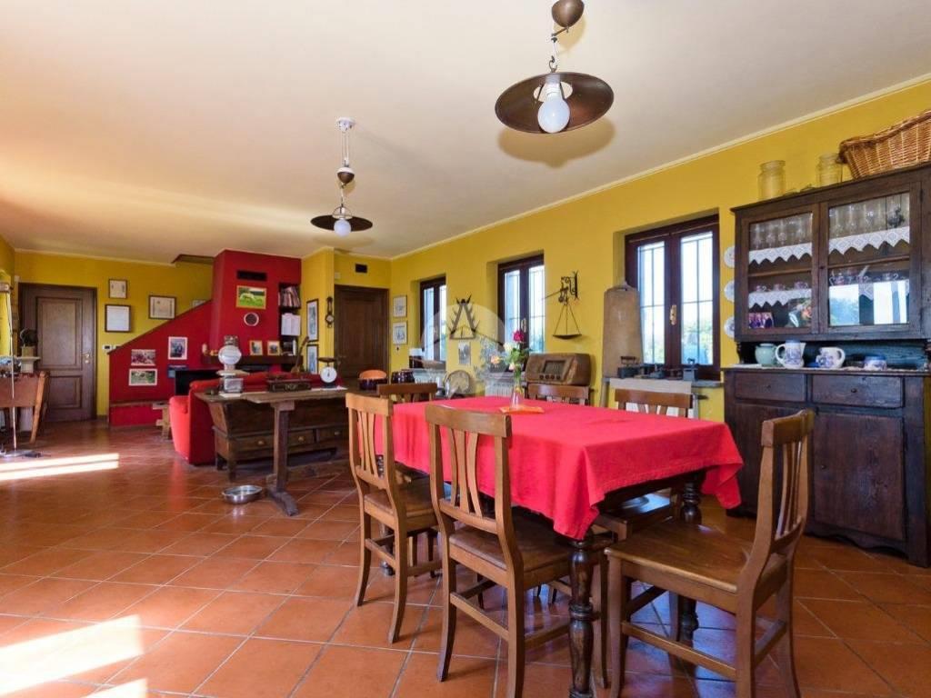 immagine annuncio 4 di 7