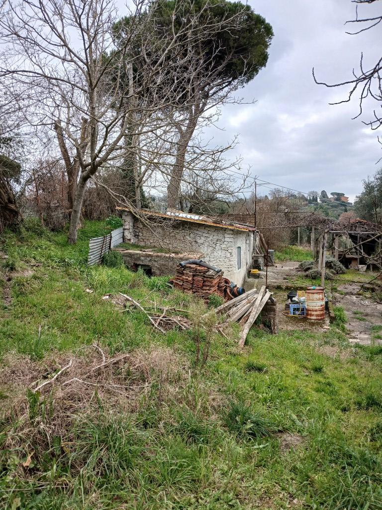 immagine annuncio 4 di 7