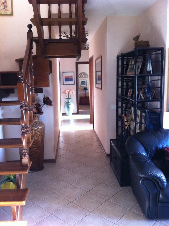 immagine annuncio 2 di 7