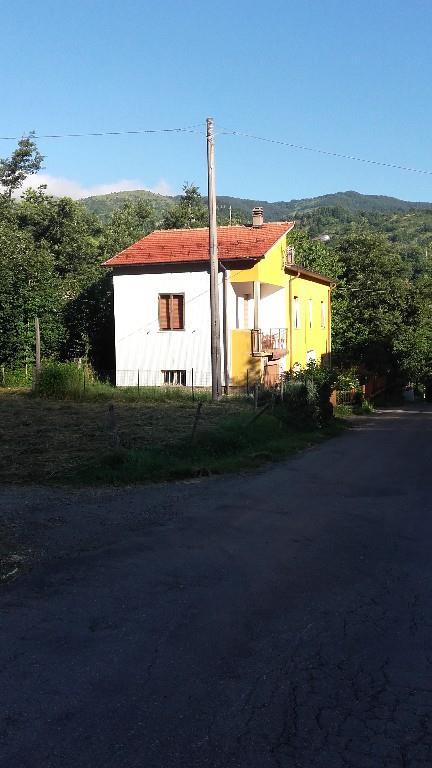 immagine annuncio 1 di 2