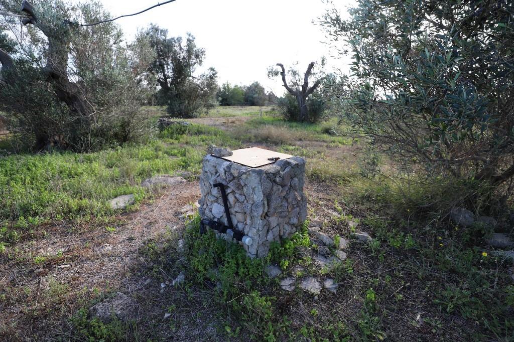 immagine annuncio 3 di 7