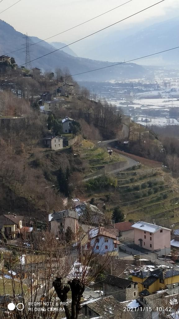 immagine annuncio 5 di 7