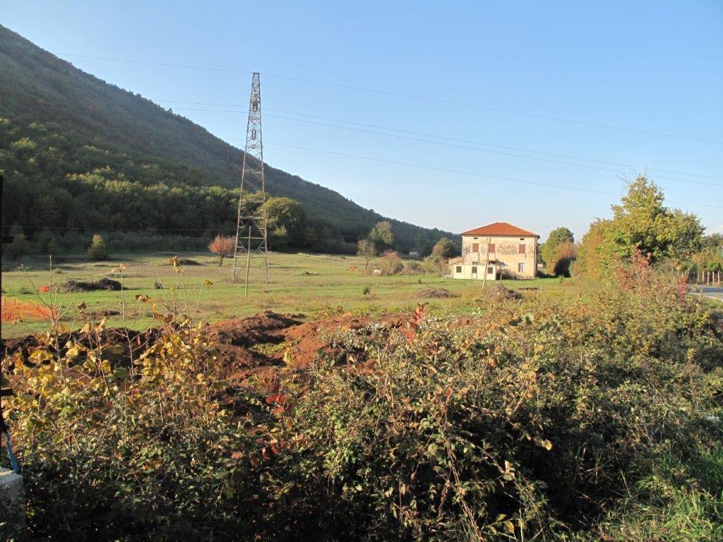 immagine annuncio 2 di 7