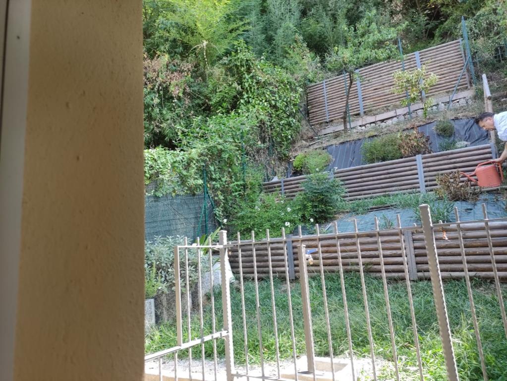immagine annuncio 5 di 7