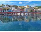 Foto - Affitto Appartamento Vacanze da Privato a Ponza - Le Forna Foto - Affitto Appartamento Vacanze da Privato a Ponza - Le Forna