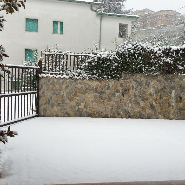 immagine annuncio 2 di 7