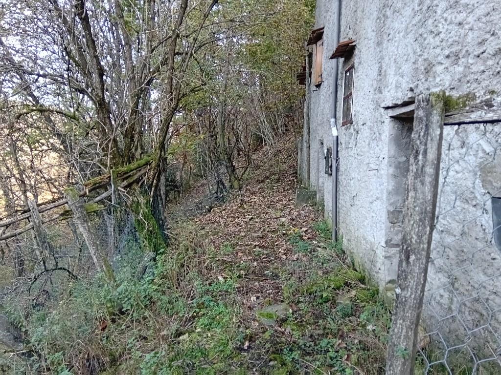 immagine annuncio 5 di 7