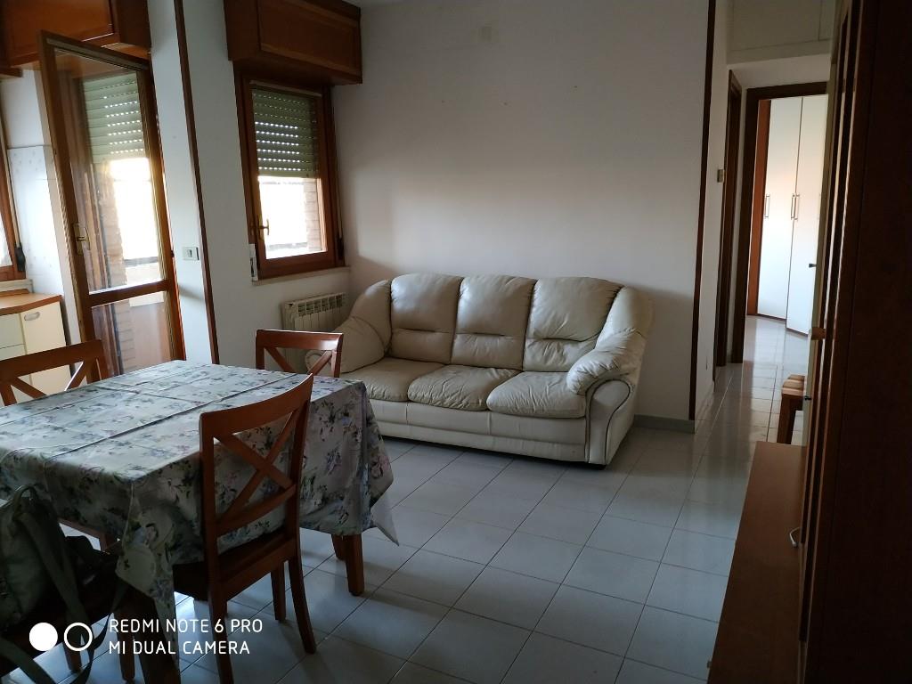 immagine annuncio 4 di 7