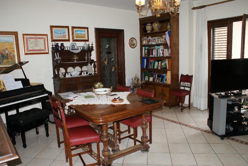 immagine annuncio 1 di 7