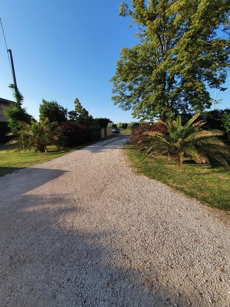 immagine annuncio 3 di 7